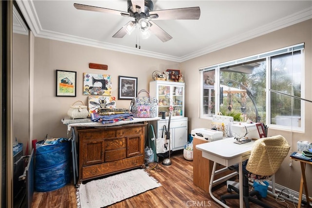 office with hardwood / wood-style flooring, crown molding, and ceiling fan