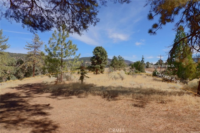 0 Darling, Frazier Park, CA 93225 - photo 15