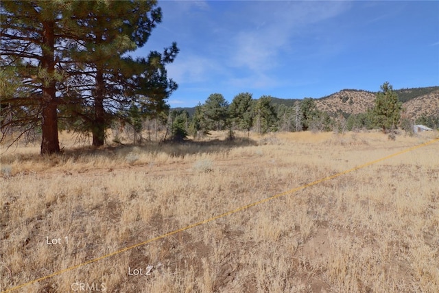 0 Darling, Frazier Park, CA 93225 - photo 20