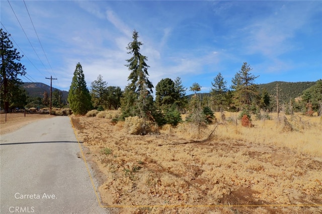 0 Darling, Frazier Park, CA 93225 - photo 18