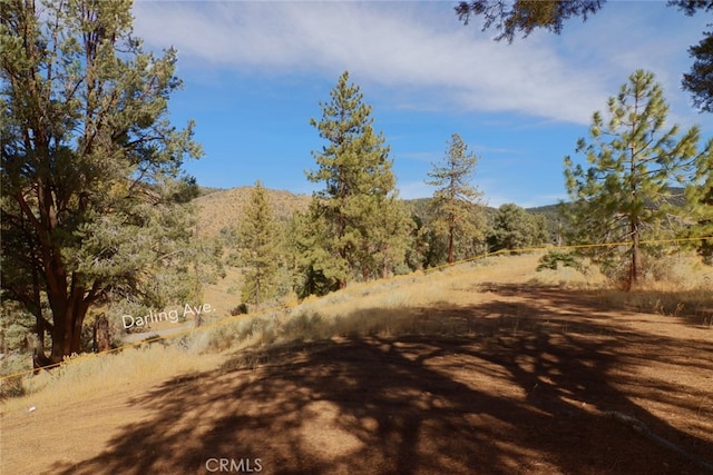 0 Darling, Frazier Park, CA 93225 - photo 13