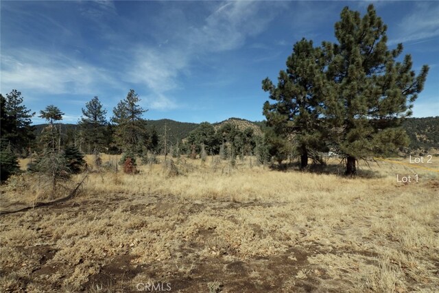 0 Darling, Frazier Park, CA 93225 - photo 21