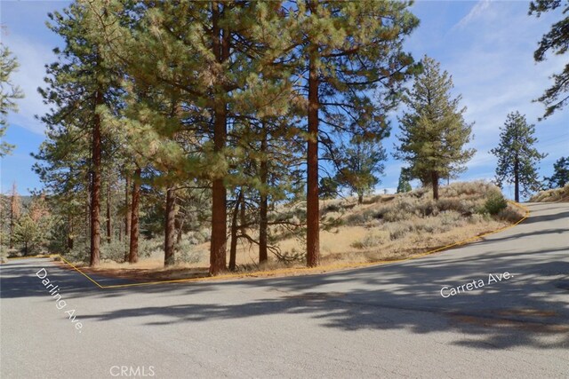 0 Darling, Frazier Park, CA 93225 - photo 8