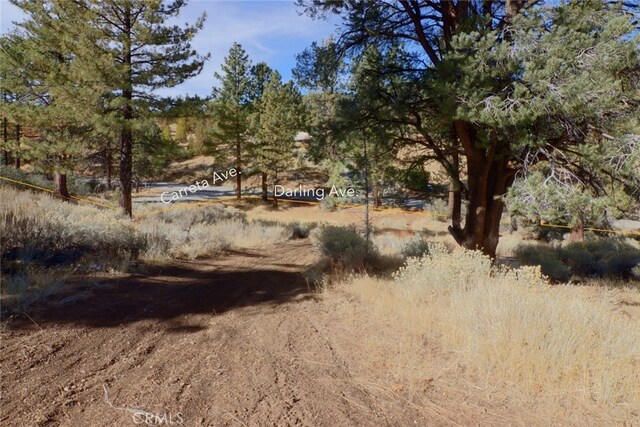 0 Darling, Frazier Park, CA 93225 - photo 12