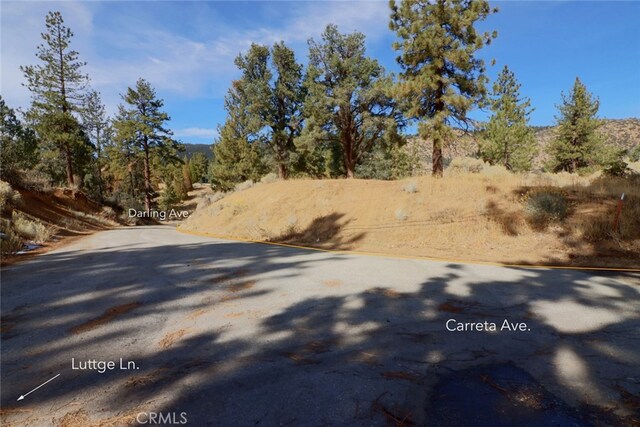 0 Darling, Frazier Park, CA 93225 - photo 10