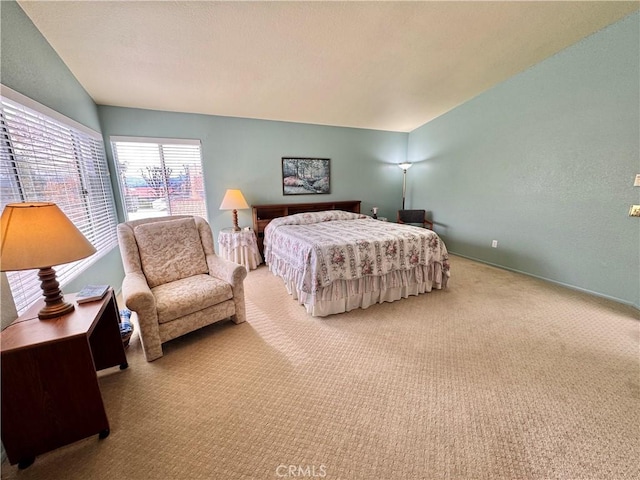 bedroom featuring carpet