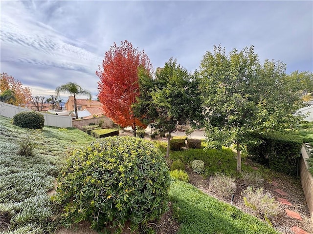 view of yard featuring fence