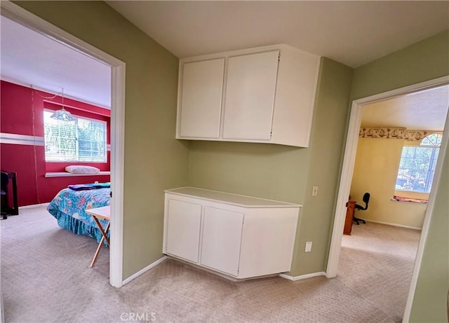 clothes washing area featuring light carpet, a healthy amount of sunlight, and baseboards