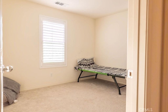 interior space featuring light carpet and a wealth of natural light