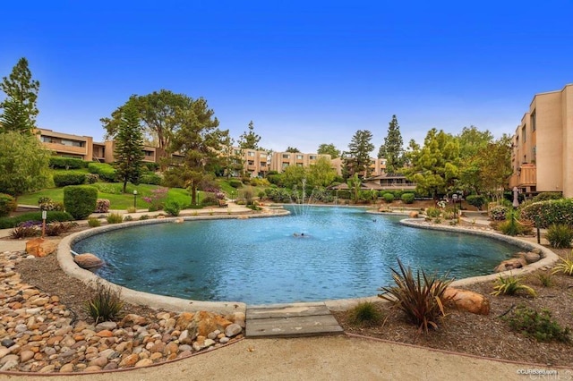 view of swimming pool