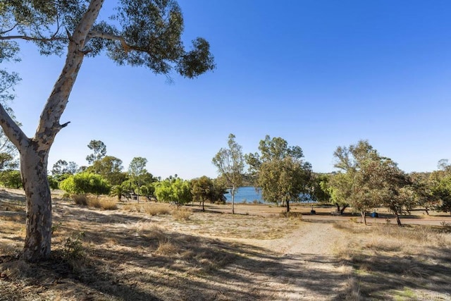 view of local wilderness featuring a rural view