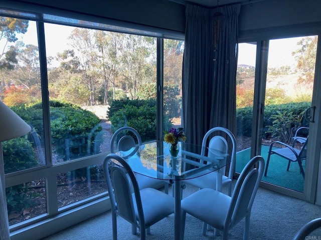 view of sunroom / solarium