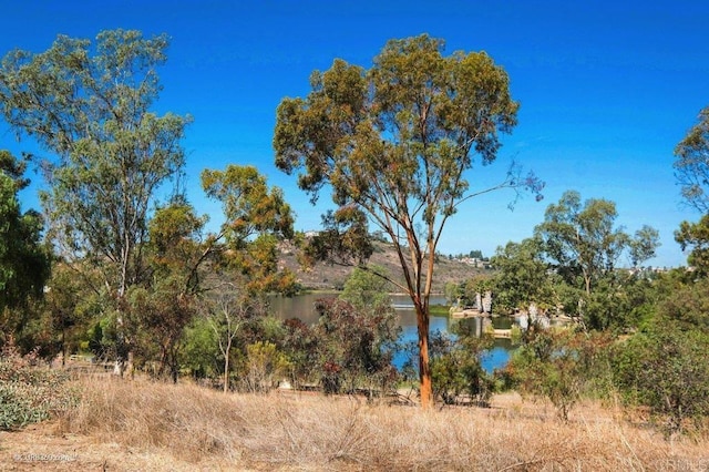 view of landscape featuring a water view