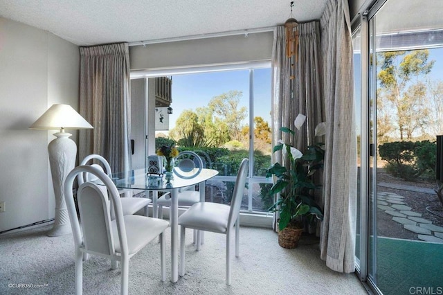 carpeted dining room featuring a textured ceiling