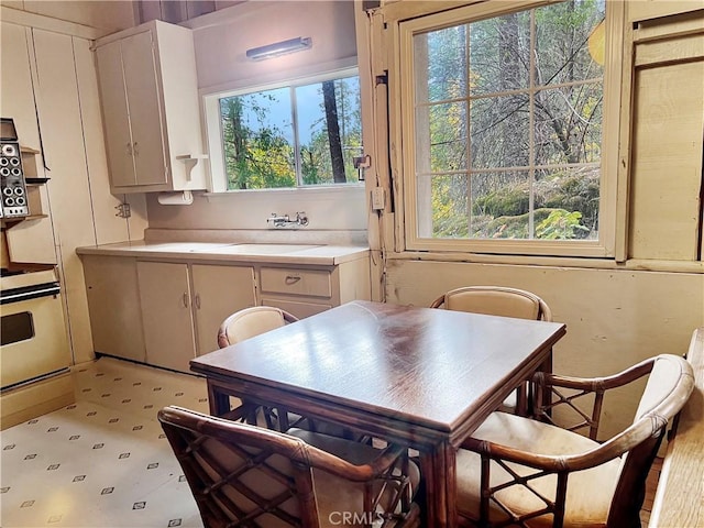 dining space featuring sink