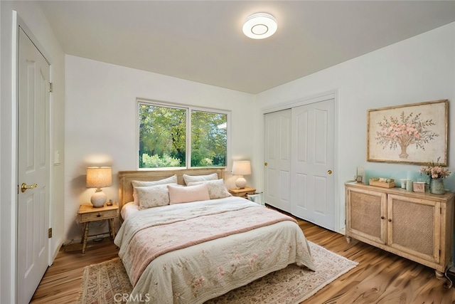 bedroom featuring hardwood / wood-style floors and a closet