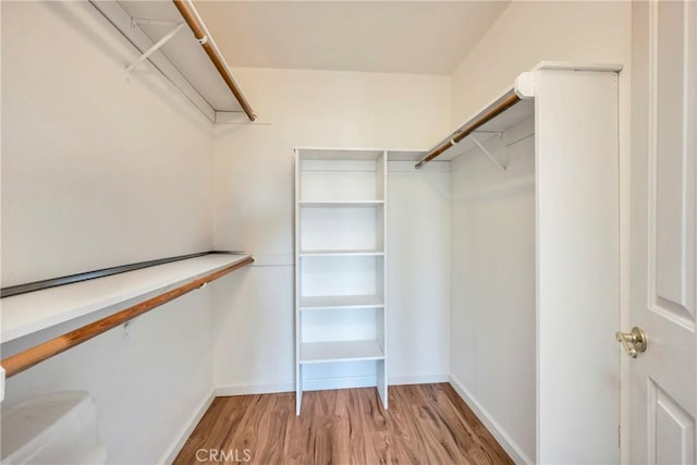 walk in closet featuring light hardwood / wood-style floors