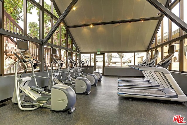 exercise room featuring track lighting, high vaulted ceiling, and a wealth of natural light