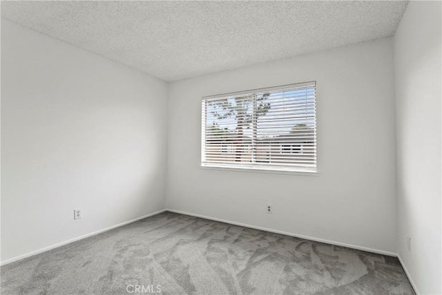 empty room featuring carpet and a textured ceiling