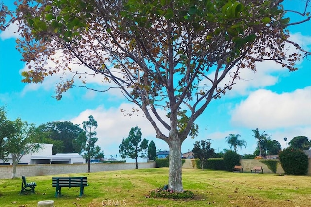 view of home's community with a lawn