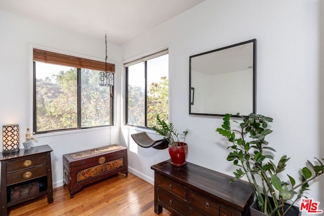 sitting room featuring light wood-type flooring