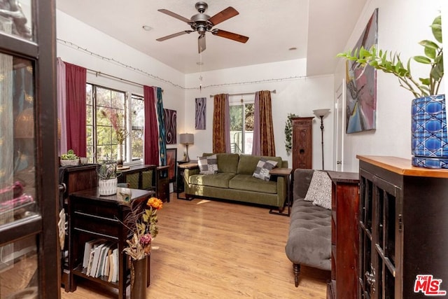 living room with ceiling fan, a healthy amount of sunlight, and light hardwood / wood-style floors