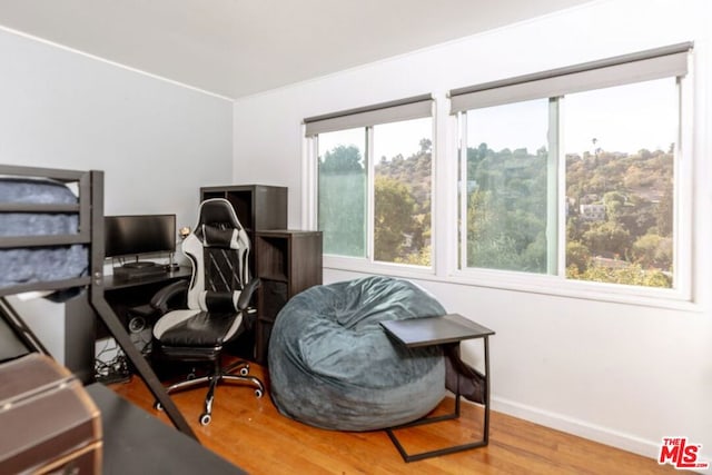 office area featuring a wealth of natural light and wood-type flooring