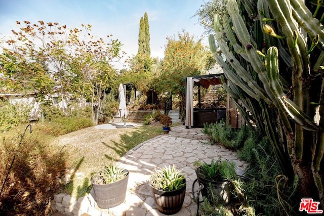 view of yard with a patio and a hot tub