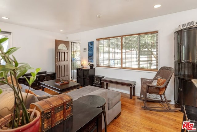 living room featuring light hardwood / wood-style flooring