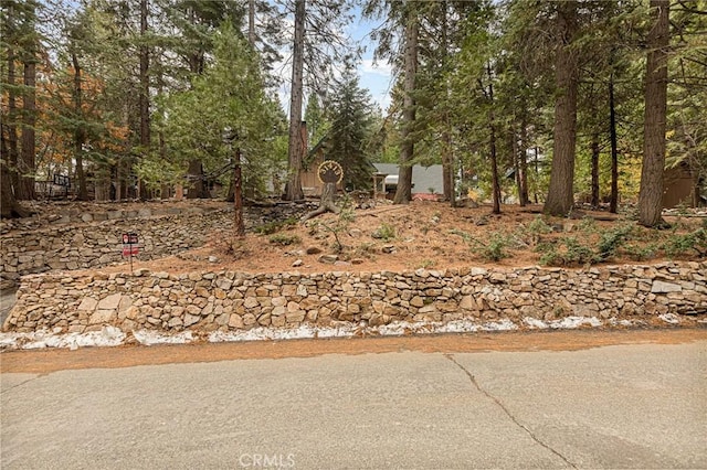 31413 Overhill Dr, Running Springs, CA 92382 - view of yard