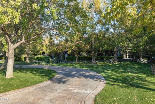 view of property's community with a lawn