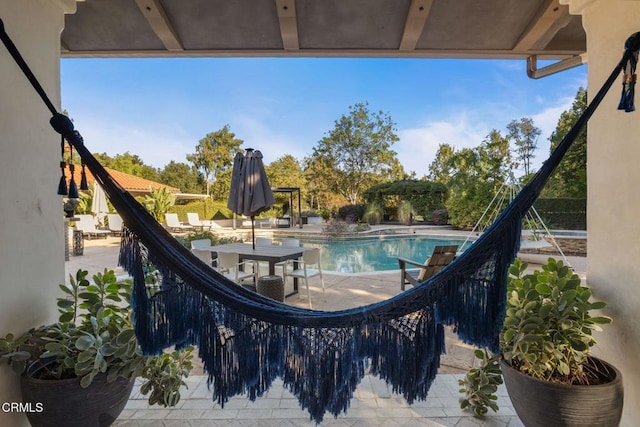 view of pool featuring a patio area