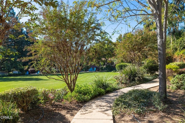 view of home's community with a yard