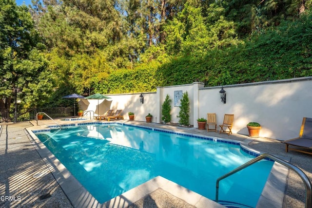 view of swimming pool with a patio area