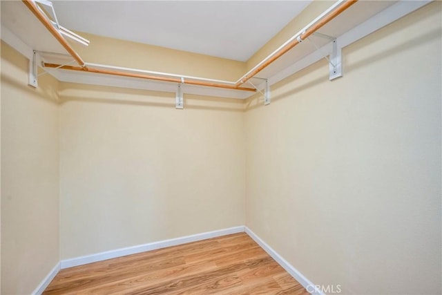 walk in closet featuring wood-type flooring