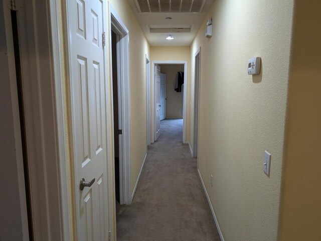 hallway with light carpet