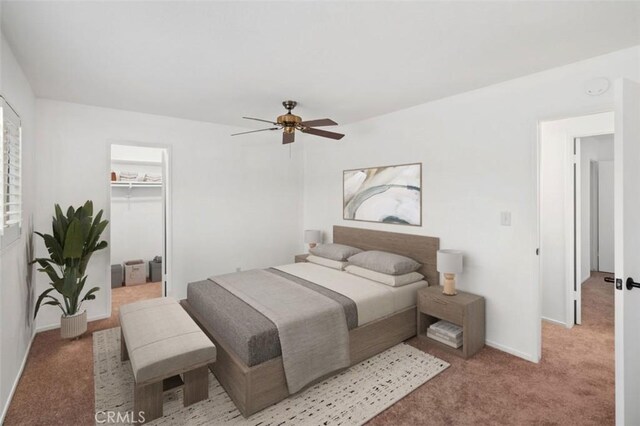 bedroom with a walk in closet, ceiling fan, a closet, and light carpet