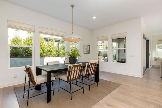 dining area with hardwood / wood-style flooring