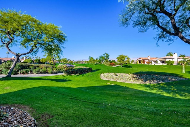 view of home's community with a lawn