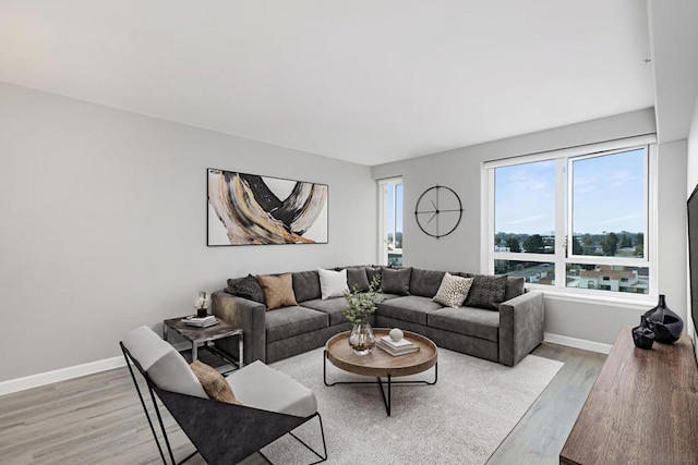 living room with light hardwood / wood-style floors