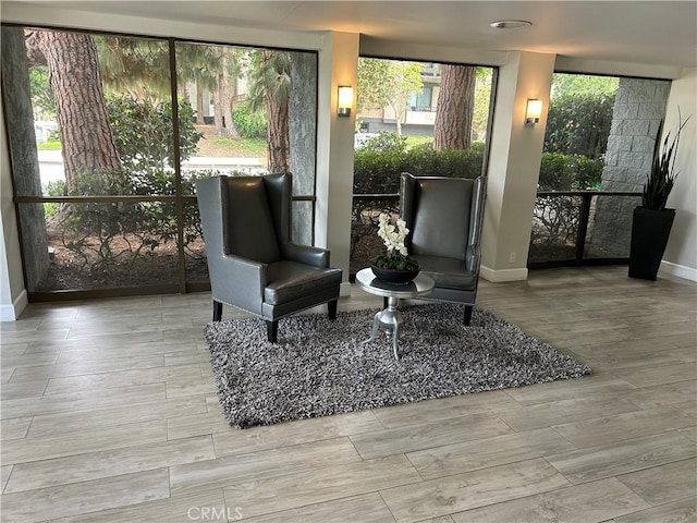 sitting room featuring light wood-type flooring