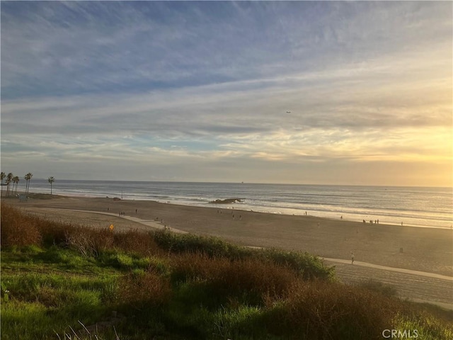 8635 Falmouth Ave Unit 301, Playa Del Rey, CA 90293 - view of water feature with a beach view