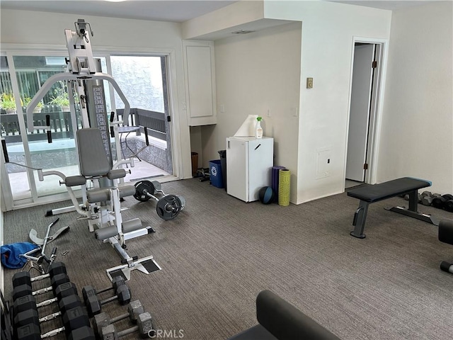 exercise room featuring carpet flooring