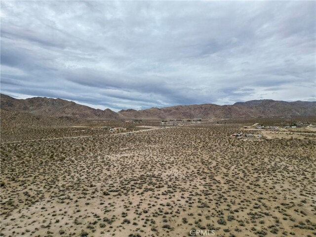 31300 Cove Rd, Lucerne Valley, CA 92356 - photo 8