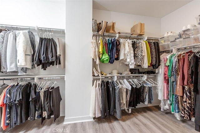 spacious closet featuring hardwood / wood-style floors