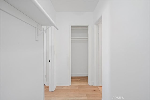 walk in closet featuring light hardwood / wood-style floors