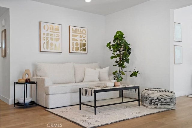 living room with hardwood / wood-style floors