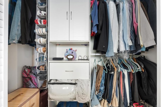 view of spacious closet