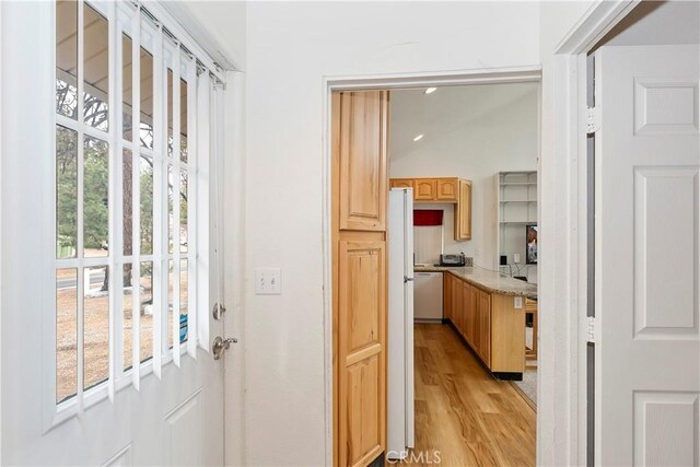 entryway featuring light hardwood / wood-style flooring and a wealth of natural light