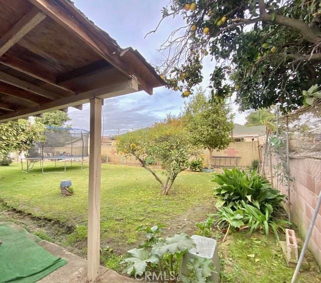 view of yard with a trampoline